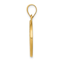 Load image into Gallery viewer, 14k Polished and Satin St John Baptist Medal Hollow Pendant
