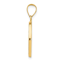 Load image into Gallery viewer, 14k Polished and Satin St Luke Medal Hollow Pendant

