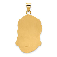 Load image into Gallery viewer, 14k Hollow Polished/Satin Large Jesus Medal
