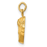 Load image into Gallery viewer, 14k Hollow Polished/Satin Small Jesus Medal
