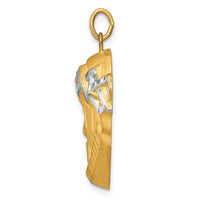 Load image into Gallery viewer, 14K Hollow Polished/Satin w/Rhodium Large Jesus Medal
