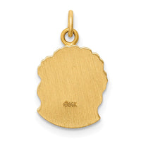 Load image into Gallery viewer, 14k Hollow Polished/Satin Small Jesus Medal
