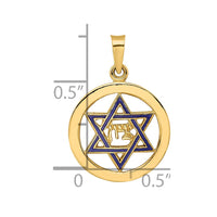 Load image into Gallery viewer, 14k Polished and Enameled Solid Star of David Pendant
