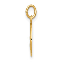 Load image into Gallery viewer, 14k Guardian Angel Medal Charm
