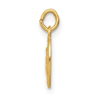 Load image into Gallery viewer, 14k Miraculous Medal Charm
