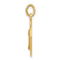 Load image into Gallery viewer, 14k Mother Cabrini Medal Charm
