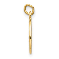 Load image into Gallery viewer, 14k Saint Roch Medal Charm
