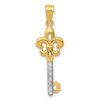 Load image into Gallery viewer, 14K w/ White Rhodium Polished Fleur De Lis Key Charm
