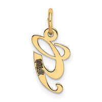 Load image into Gallery viewer, 14K Small Fancy Script Letter G Initial Charm
