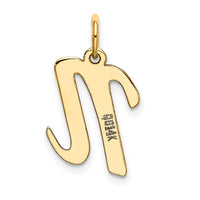 Load image into Gallery viewer, 14k Medium Script Letter N Initial Charm
